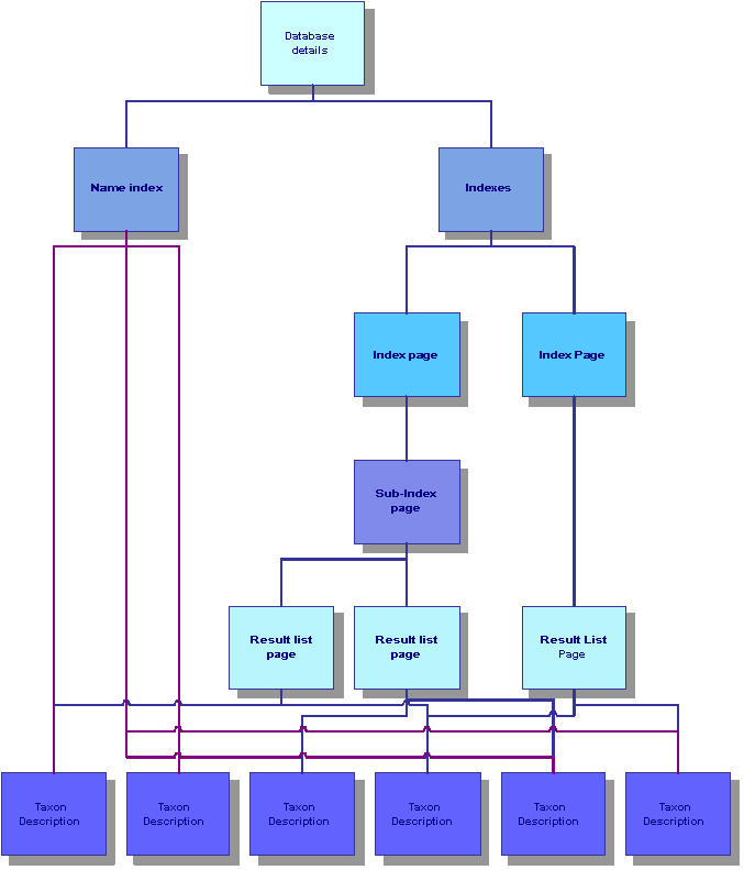 Outline Web Structure Map